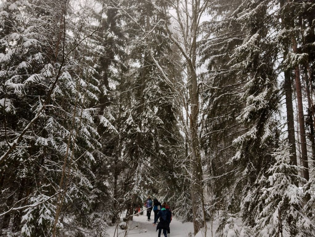 Sneeuwschoenen wandeling Zweden